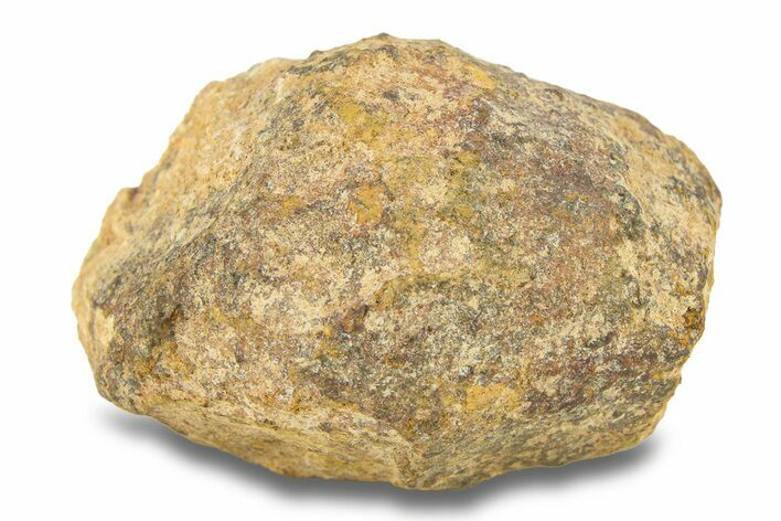 Gold Basin Chondrite Meteorite ( g) - Arizona #282818